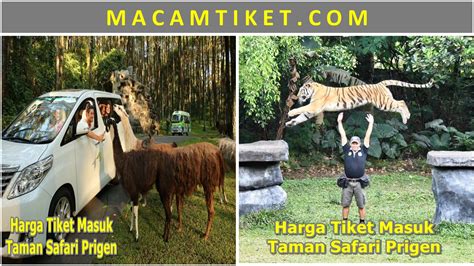 Harga tiket masuk taman safari bogor. Harga Tiket Masuk Taman Safari Prigen