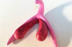 clitoris 3d female genitalia printed shows printing looks look