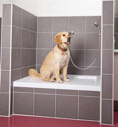 Find a baby bathtub made of thick plastic that is the right size for your baby. Dog Showers Are The Latest Home Trend, And They Are ...