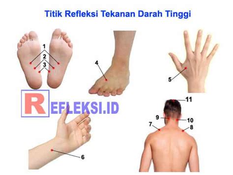 Halo sobat lifestyleone sakit kepala cukup sering terjadi dengan berbagai penyebab seperti stress, kecapean dll. Titik Pijat Refleksi Untuk Menurunkan Tekanan Darah Tinggi