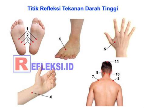 Check spelling or type a new query. Titik Pijat Refleksi Untuk Menurunkan Tekanan Darah Tinggi