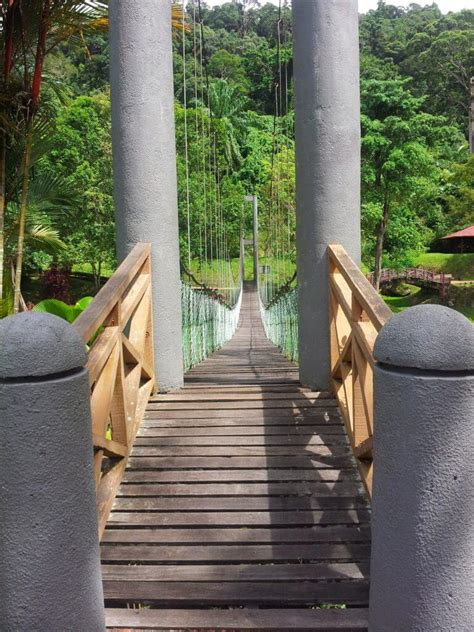 Kota marudu mangin eko pelancongan bukit rumun taman raflesia hiking treking 5 Tempat Eko Pelancongan Menarik Yang Anda Mesti Kunjungi ...