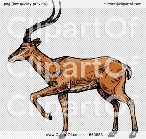 Find & download free graphic resources for clip art. Clipart of a Sketched Gazelle - Royalty Free Vector ...