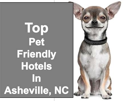 Pet friendly rentals and dog friendly rentals in north carolina coast, nc. PPT - Top Pet Friendly Hotels & Lodging Asheville, NC ...