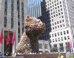 Image courtesy of koons studio and art production fund. Rockefeller Center, the puppy