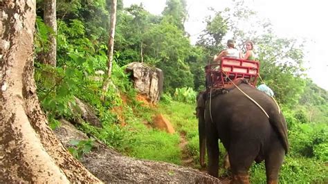 Top hotels close to kok chang safari elephant trekking. World Race - Elephant Trekking in Thailand! - YouTube