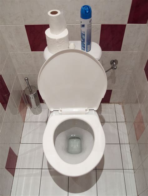 If you like a tidy toilet bowl that's half full of sparkling clear water, the dual flush concept will be a bit of an adjustment. White toilet bowl - Free Stock Photos ::: LibreShot