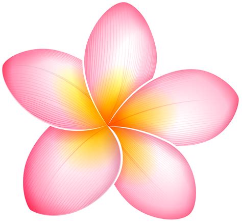 Explore the 38+ collection of exotic flower clipart images at getdrawings. Pink Exotic Flower PNG Clip Art - Best WEB Clipart