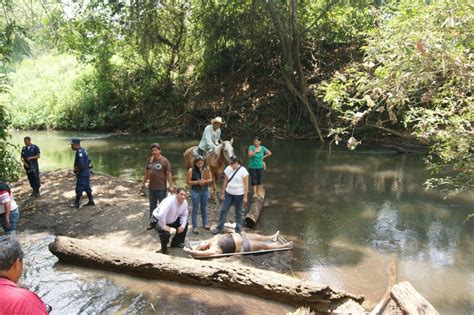 Maybe you would like to learn more about one of these? Strange Fishes (Drowning People Thread)