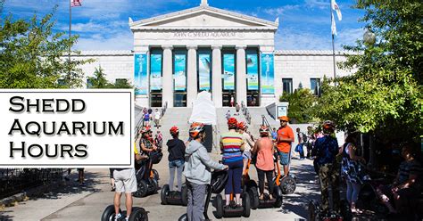 In november and december, the aquarium will be open tickets: Shedd Aquarium Hours of Operation | Holiday Hours, Near Me ...