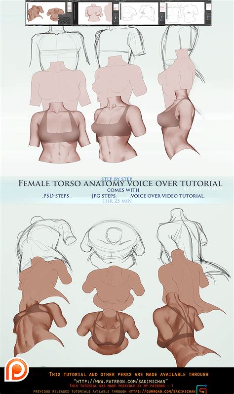 The muscles of the torso are interesting on many levels. Female torso anatomy voice over .promo. by sakimichan on ...