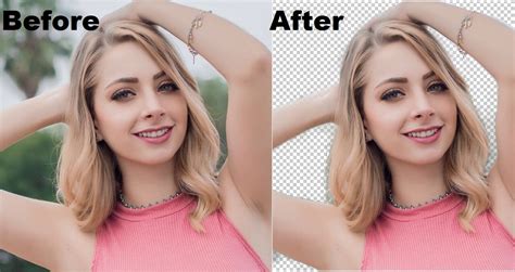 With inpixio remove background you can get a transparent. remove background image professionally for $8 - SEOClerks