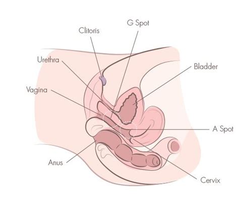 I change my shower head setting so the flow is steadier and cooler. Squirting 101: How To Squirt Like A Pornstar