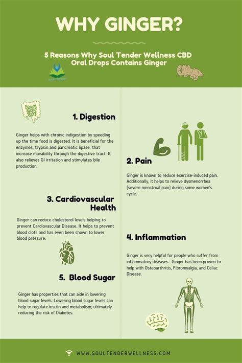 Ginger is very well produced in jamaica. Why Ginger? | Ginger benefits, Medicinal plants, Wellness