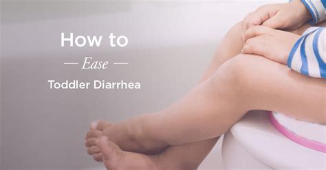 Avoid fried foods, or foods high in fat like bacon, sausage, pizza and pastries which may worsen if you have diarrhea, you will want to minimize the amount of insoluble fibre, which adds bulk to the it is important to note these foods will not cause diarrhea for every individual, d'ambrosio warns. What to Feed Toddler with Diarrhea: The Plan