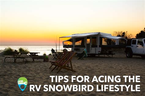 Check 'snowbird' translations into russian. Tips for Acing the Snowbird Lifestyle | RV Repair Direct