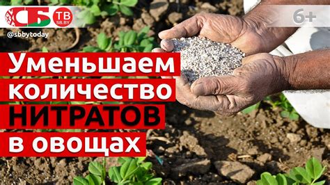 Азот в почве. Простой способ уменьшить содержание нитратов в овощах и ...