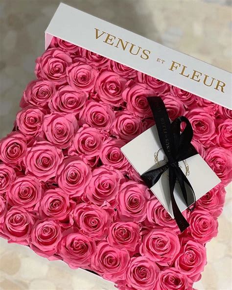 Maybe you would like to learn more about one of these? VENUS ET FLEUR® OFFICIAL on Instagram: "You can never go ...