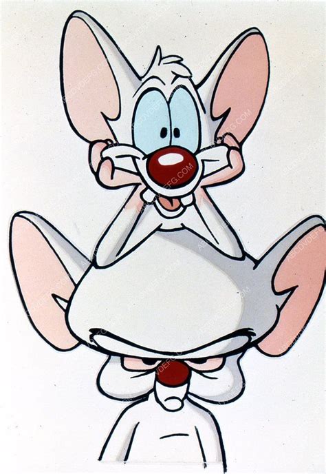 Brain drained had pinky and the brain listening to terrible pitches for new plans, while you'll never eat food pellets in this town again, the final episode by writer/producer peter hastings before he quit related: animated cartoon characters TV Pinky and the Brain 35m ...