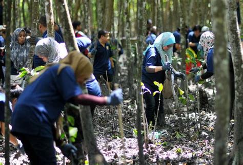 Dengan mengamalkan gaya hidup mesra alam semasa perintah berkurung, pelepasan karbon dapat dikurangkan dan mencegah masalah alam sekitar. Generasi muda perlu ke hadapan dalam penjagaan alam ...