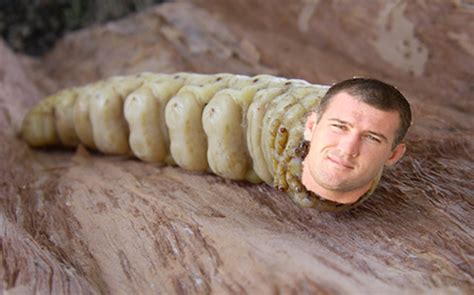 25 NRLCEO Players NOT to Draft in 2015