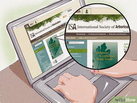 An arborist is an individual trained in the care of trees and shrubs. How to Become an ISA‐Certified Arborist (with Pictures ...