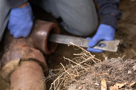 Repair even the toughest drain field failures. Symptoms You Should Get in touch with Lithia Springs GA ...