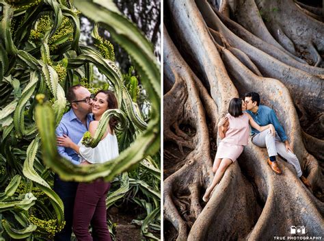 Fleet science center is the cactus garden. Cactus Garden Balboa Park Engagement - | San Diego ...