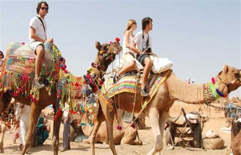 How do they battle the sandstorms? A Safari Ride Atop the Ship of the Desert - Shikhar Blog