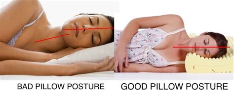 Snoozing with a supportive pillow is a great way to maintain healthy posture and guard against neck pain. Blog - Kelley Chiropractic