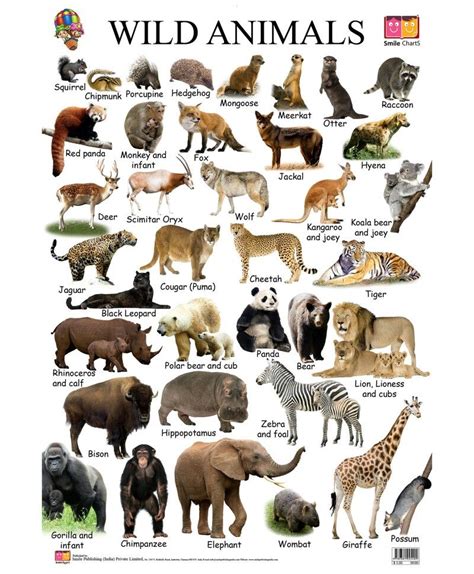 Lists of biota of africa. Pin by ZAVANA 22 on wild | Animals name in english, Wild ...