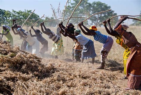 Belles grosses femmes , africaines. Cinq magnifiques photos de femmes noires et fortes