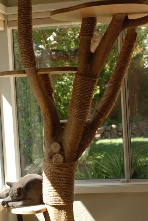 Une grosse branche et un peu de créativité pour réaliser un arbre à chat...