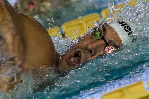 La pilato ha nuotato in 2930 (in. Nuoto, Campionati italiani 2019: Gabriele Detti si impone ...