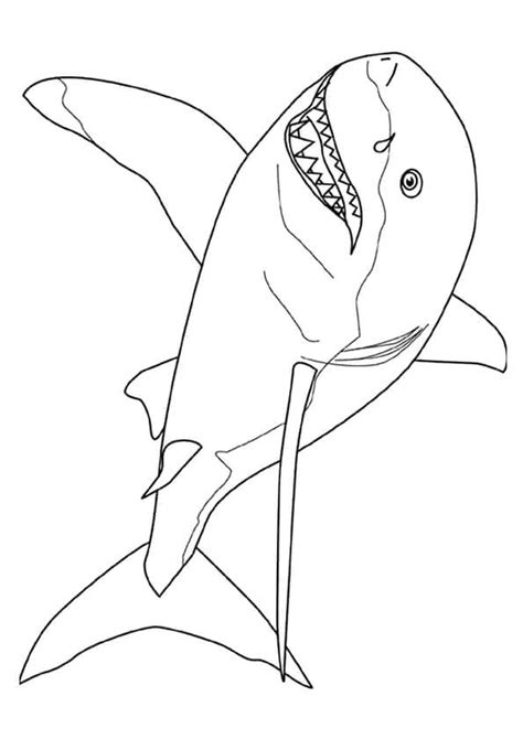 Use these images to quickly print coloring pages. 33 Free Shark Coloring Pages Printable