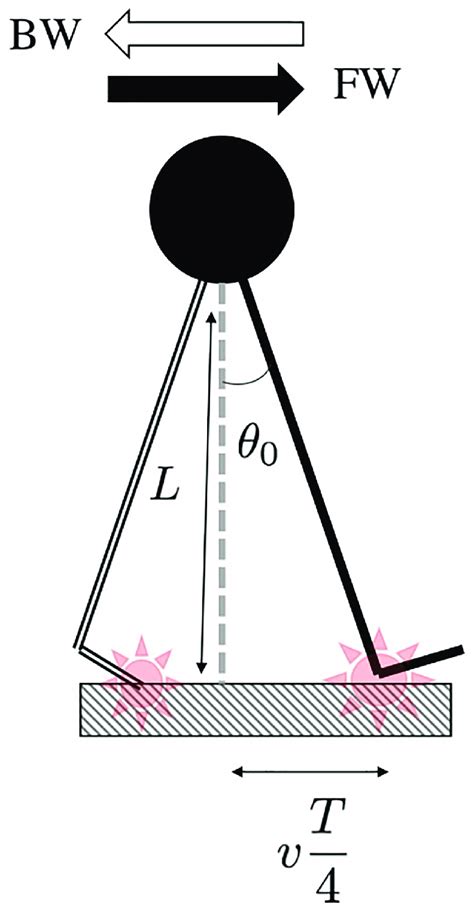 It is consequently of particular interest to physiotherapists. Schematic representation of the body (circle) and the lower limb (solid... | Download Scientific ...