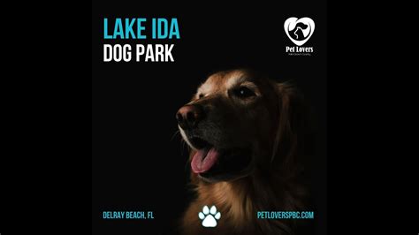 Maybe you would like to learn more about one of these? Lake Ida Dog Park Delray Beach Florida - YouTube