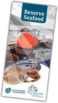 Reserve Seafood | Lyme Bay Fisheries & Conservation Reserve