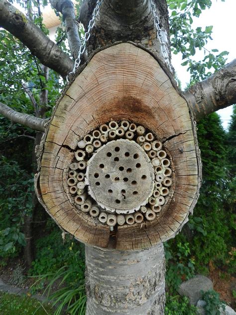 Mit einem naturnahen garten schaffen sie lebensräume und tragen entscheidend zur artenvielfalt und einer gesunden umwelt bei. Naturnaher Garten - Region Tirol