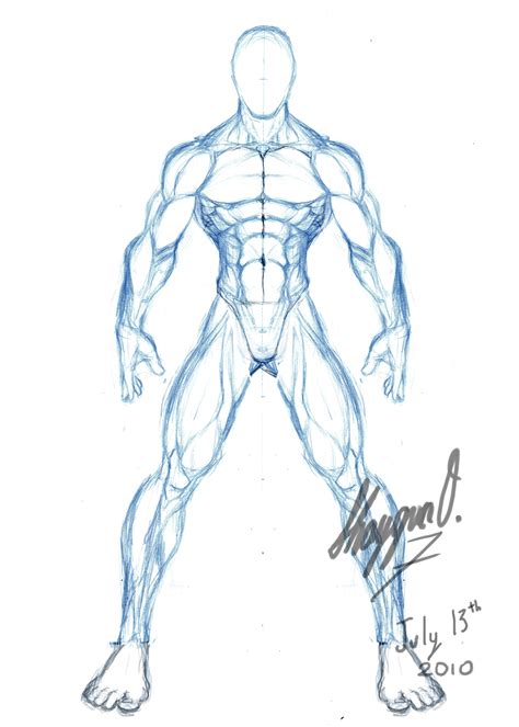 How to draw anime anatomy no timelapse anime drawing 10.09.2020 · anatomy practice anime ish male body working on it. Male Anatomy Template: Front by Shintenzu on DeviantArt