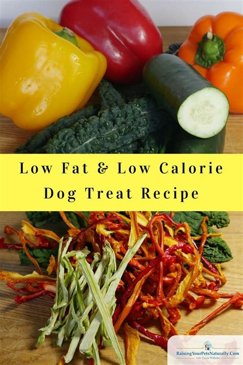 Is low carb dog food necessary? Pin on Dog Food