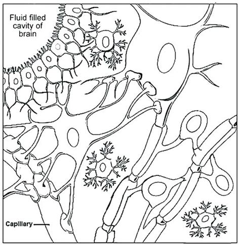 Free printable coloring pages hibernating animals. Soil Coloring Pages at GetColorings.com | Free printable ...