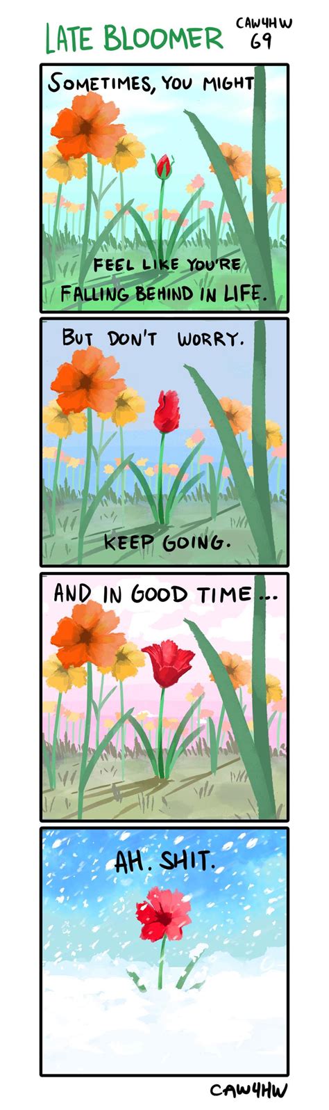 I am also a late bloomer at 24 years old. Late Bloomer : comics