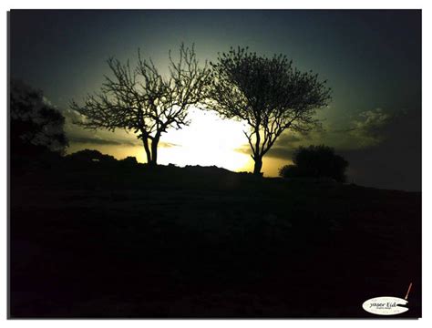 Posted by unknown at 4:31 pm. Palestine Nature Photography by YASERGRAFIX on DeviantArt