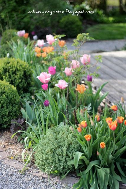 Mit jedem fingerspitzengefühl wird gegenseitig ihr raum persönlicher und einladender für ihre freunde und familie anfühlen. Ein Schweizer Garten: Knallertulpen