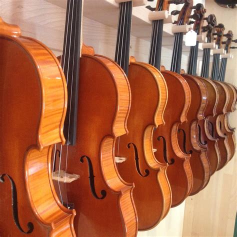 The 5 best violins for beginners & intermediates compared. Top 10 Best Electric Viola Brands and Reviews 2018