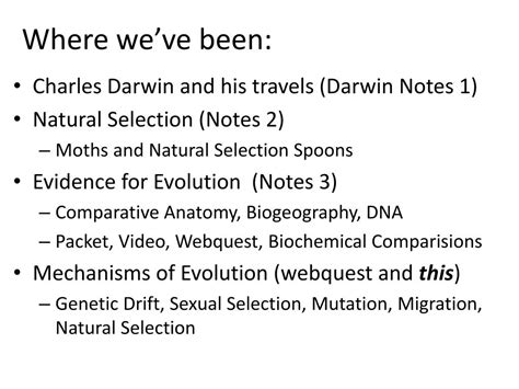 The most common type of mutation in a gene is called a point mutation. Dna And Mutations Webquest / Mutations Lesson Plans Worksheets Lesson Planet / Dna replication ...