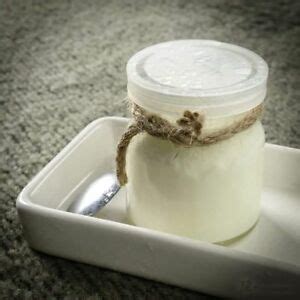 Anche alcune bevande e verdure fermentate sono ricche di probiotici. FERMENTI LATTICI VIVI PER YOGURT 100% NATURALE CON ...