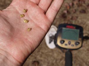 (generally the west coast), since you are unlikely to find any natural gold. What is the Best Gold Metal Detector for Finding Gold ...