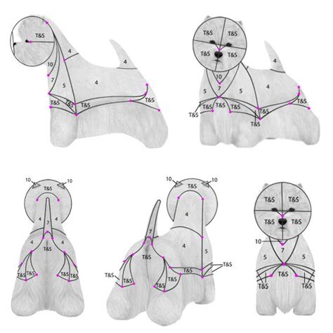 She notes, i've created two different undertones. Dog Grooming Information :: Breed Grooming Profile | West ...